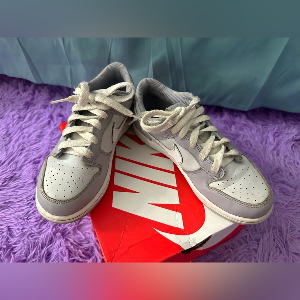 Used Kids Nike Dunks